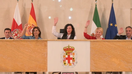 Pleno Ordinario Presupuesto 2026