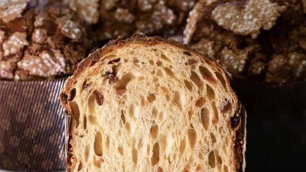 Panettone de chocolate ganador