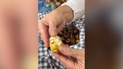 Anna Terés, preparando las castañas, en el vídeo