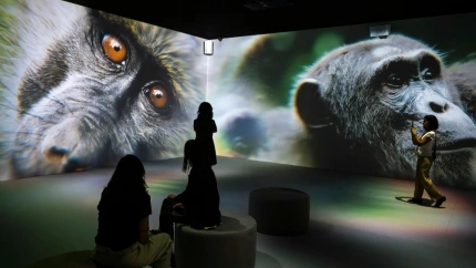 El arte también cura y transforma