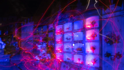 San Sadurniño celebra todavía estos días actos de Samaín