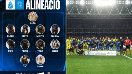 El precioso gesto del Espanyol con el Centro de Acogida de Animales de Compañía de Barcelona