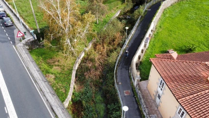 La maleza dificulta el discurrir de cauce