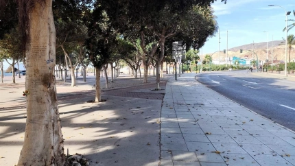 Lugar donde se produjo el accidente. ALMERÍA, 8 (EUROPA PRESS) La Fiscalía va a solicitar siete años y medio de prisión para el varón de 23 años acusado de conducir bajo los efectos del alcohol y distintos tipos de drogas y a velocidades que rozaron los 160 kilómetros el vehículo que, en la madrugada del 18 de junio del año pasado, impactó contra árboles y una farola en las inmediaciones del Cable Inglés, lo que ocasionó la muerte de una joven de 18 años y de otro varón de 23, ambos también ocupantes del coche, a los que el acusado no habría atendido puesto que se marchó del lugar de los hechos tras salir ileso. En su escrito de acusación provisional, consultado por Europa Press, el Ministerio Público achaca al acusado dos delitos de homicidio imprudente y uno contra la seguridad vial, en concurso, por los que pide cinco años de cárcel, y otro más de abandono de lugar del accidente, por el que interesa otros dos años y medio de cárcel. Los hechos tuvieron lugar sobre las 0,15 horas de la madrugada cuando el acusado se puso al volante de un vehículo de alta gama después de haber ingerido bebidas alcohólicas y una diversa cantidad de estupefacientes, de acuerdo con la acusación del fiscal. En concreto, y sobre los análisis realizados, se estima que habría consumido anfetaminas, cocaína, cannabis y ketamina, lo que junto con el alcohol habría mermado "sensiblemente" sus facultades para poder ejercer la conducción. El acusado, que llegó a estar en prisión provisional por estos hechos pero después fue puesto en libertad como investigado, decidió pilotar su vehículo en el que además iban las dos víctimas mortales --la chica de copiloto y el chico, detrás-- ambas con el cinturón de seguridad abrochado en el momento de los hechos.CHOQUE A 137 KILÓMETROS POR HORA El varón encaró la Vía Parque, entre el Puerto de Almería y el Parque Nicolás Salmerón hacia la Avenida Cabo de Gata mientras circulaba a una "gran velocid