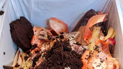 Basura orgánica en el cubo marrón de la cocina de una casa