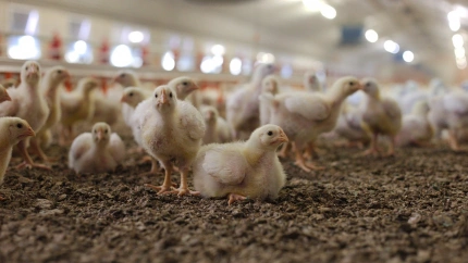 Imagen de una granja