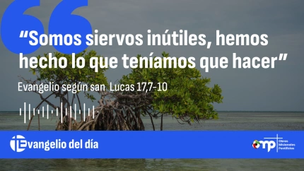 EVANGELIO DEL DÍA 11 NOV