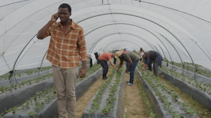 Frame de la película 'Te protegerán mis alas'