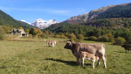 Ganadería extensiva