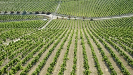Alberto Sánchez, Coordinador Servicios Técnicos ASAJA Cádiz