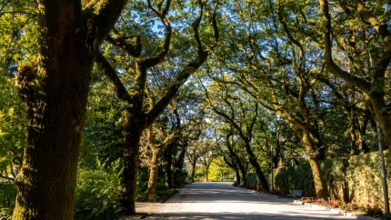 Foto de archivo de la Alameda de Santiago