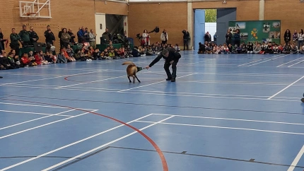 Jacinto Canales, subdelegado del gobierno en Valladolid, presenta el Plan Director de convivencia y seguridad en centros educativos