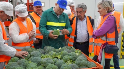 El ex presidente cántabro en un almacén de manipulado de brócoli de la pedanía de La Hoya, durante una visita anterior
