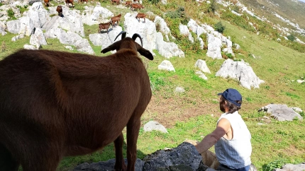 Ángel Fernández, vigilando el ganado