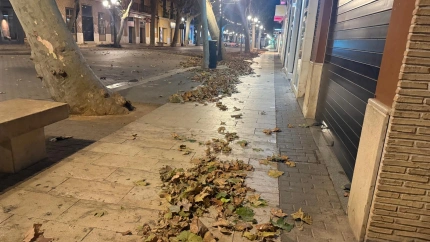 Acumulación de hojas en Marqués de Campo esta mañana debido a las fuertes rachas de viento que afectan a Dénia