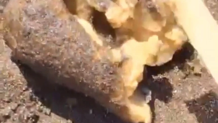 extrañas bolas en la playa de Melenara