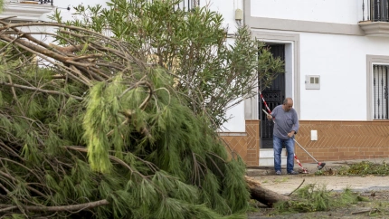 Vista de los destrozos producidos por las fuertes lluvias en Gibraleón, Huelva