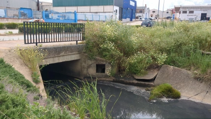 Los vertidos en el arroyo de las Picadas están a la orden del día