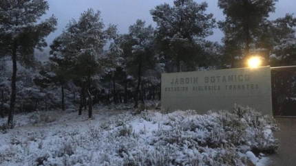 Nieve en la Estación Biológica Torretes (Font Roja, Ibi)