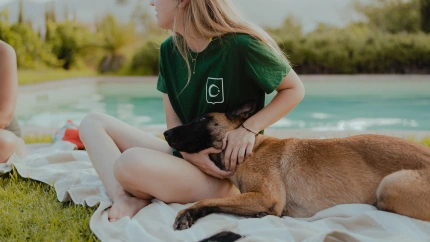 Imagen de Aire en un momento de descanso