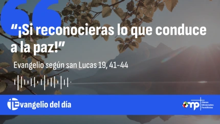 EVANGELIO DEL DÍA 20 NOV