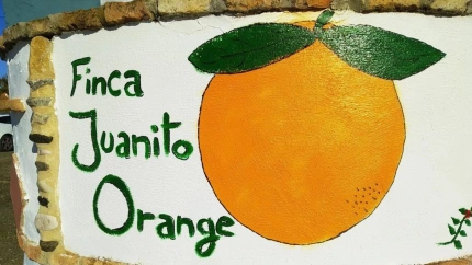 Juanito Orange