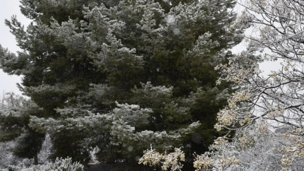 Nieve en Castilla la Mancha