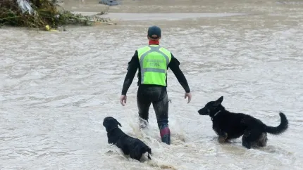 (Foto de ARCHIVO)Un agente de la Unidad Cinológica Central busca a los desaparecidos por las inundaciones causadas por la DANA, a 4 de septiembre de 2023, en Villamanta, Madrid (España). La zona más afectada por la DANA que ha descargado este fin de semana en la Comunidad de Madrid es el suroeste de la región, en localidades como Aldea del Fresno, Villamanta, Villamantilla, Villanueva de Perales, El Álamo y Navalcarnero, donde se han registrado numerosas inundaciones en viviendas y calles. La Guardia Civil busca desde anoche a un hombre de 83 años que fue arrastrado por la corriente cuando se encontraba en las inmediaciones de una residencia de la localidad de Villamanta.Gustavo Valiente / Europa Press04 SEPTIEMBRE 2023;INUNDACIONES;MUNICIPIOS;COMUNIDAD;AGUA;LLUVIA;DANA;CHARCO;COCHE;FURGONETA;PIXELADA04/9/2023