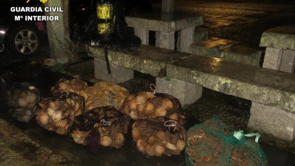 Las vieiras y centollas decomisadas por la Benemérita