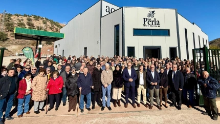 La Junta de Andalucía impulsa la modernización del olivar en Jaén para reforzar su calidad y rentabilidad
