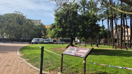 Espacios públicos de Dénia cerrados al público como medida de precaución ante el viento fuerte