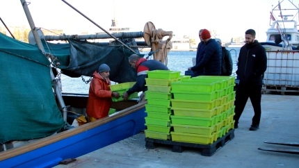 Desde la Ràpita, los marineros comparten esta visión y lamentan que la medida "llega tarde"