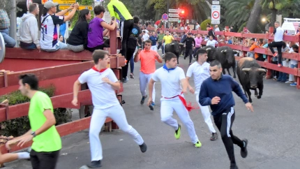 Encierro por las calles de Guadalajara