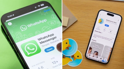 WhatsApp y BirdyChat