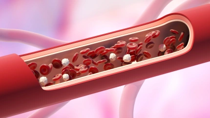 Red and white blood cells in the vein. Leukocyte normal level. 3D illustration