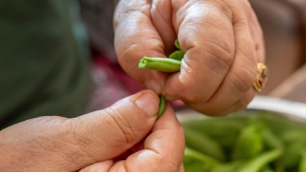 Imagen de recurso de una mujer cocinando verduras