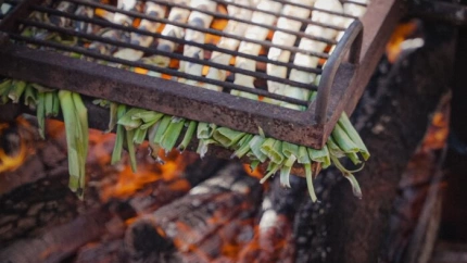 Cebolleta de Consuegra