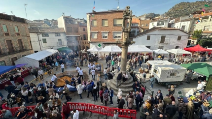Castillo de Bayuela, Toledo