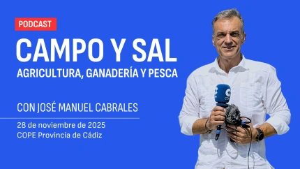 CAMPO Y SAL | 28 NOV 2025