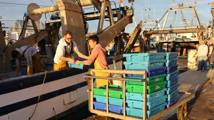 Cofradía de Pescadores de Villajoyosa