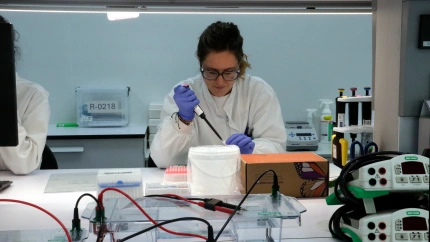 Vacuna contra la Peste porcina