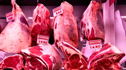 Mercado de Carnicerías de Bilbao Mercado de la Rivera España País Vasco Español