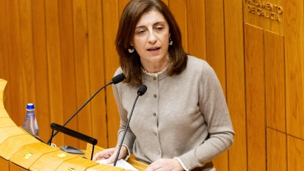 Ángeles Vázquez este miércoles en el Parlamento de Galicia