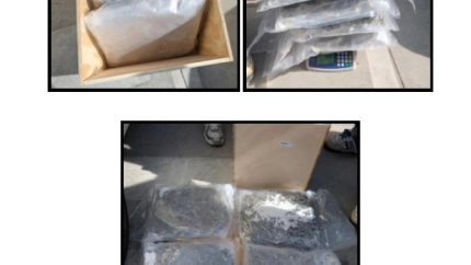 Foto cogollos de droga