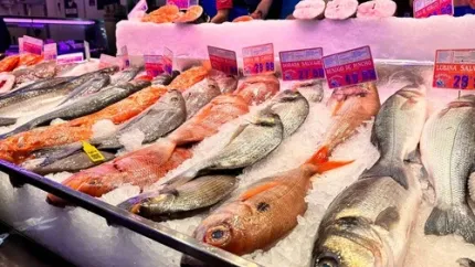 Imagen de una Pecadería