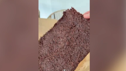 El turrón de chocolate de Blanca García-Orea