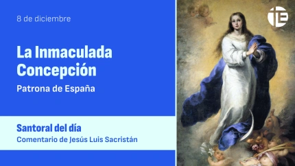 La Inmaculada Concepción de la Virgen