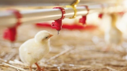 La Junta retira las medidas de control para las zonas de vigilancia y protección contra la gripe aviar