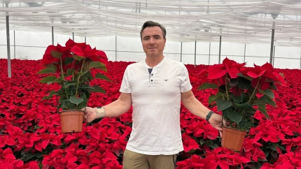 Viveros Viral vende más de 20.000 plantas a CLM y Madrid