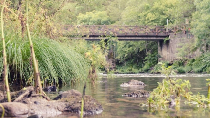 Foto de archivo de una zona de las Fragas do Eume